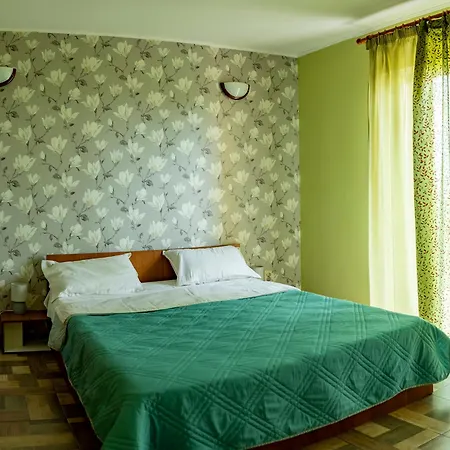 Casa Violeta-fara Copii Гостевой дом *